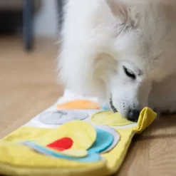 AFP Hvalpeaktivitetsbog | Puppy Nose Work