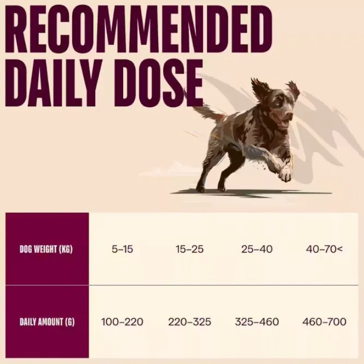 Carnilove Active Dog Salmon & Turkey, Adult All Breeds | Tørfoder