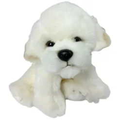 Coton de Tulear /Bichon Frise bamse/Ollie