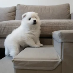 Doglemi Hundetrappe m. hule og små rum
