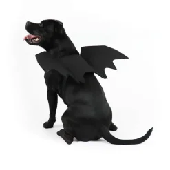 Flagermusvinger til hunde