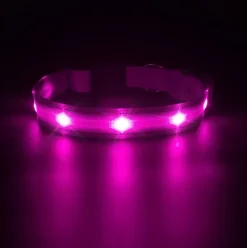 LED-hundehalsbånd | Genopladelig