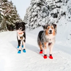 Non-Stop dogwear Long Distance bootie 4pk | OUTLET