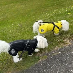 Ollipet Aqua Explorer Regnjakke med sele