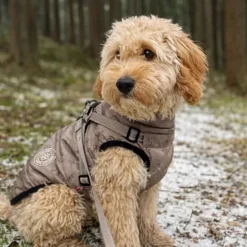 Ollipet Arctic Explorer | Hundedækken