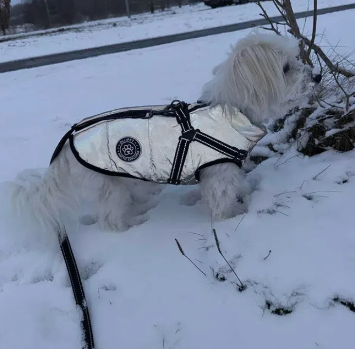 Ollipet Arctic Explorer Refleks | Vinterdækken