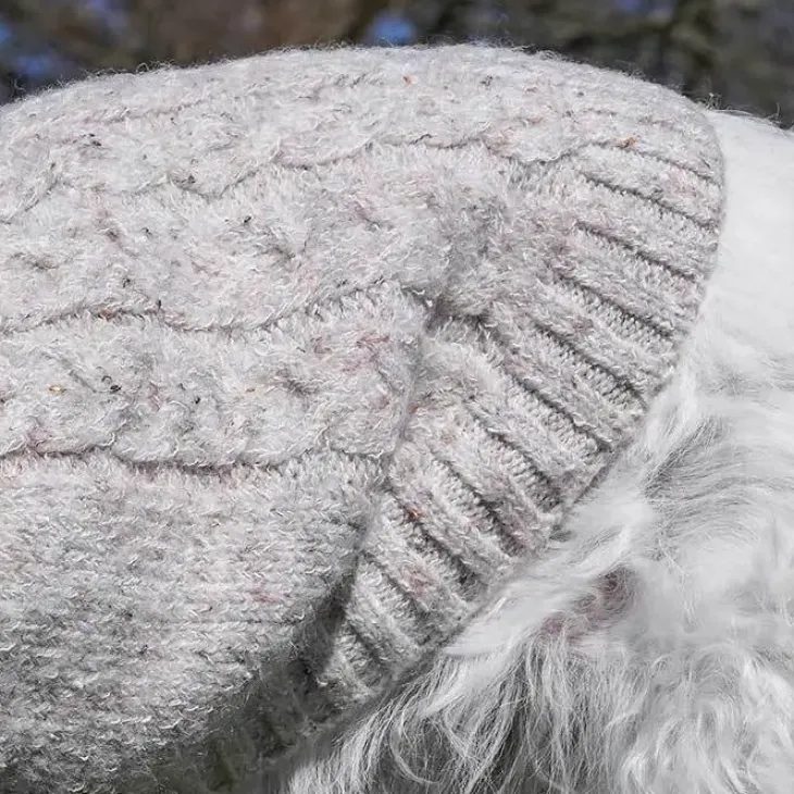 Ollipet Camel Sweater