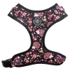 Ollipet City Lux Hundesele | Cute Hedgehog | OUTLET