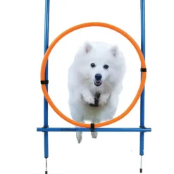 Ollipet DogFit Agility | Hurdle Jump Ring