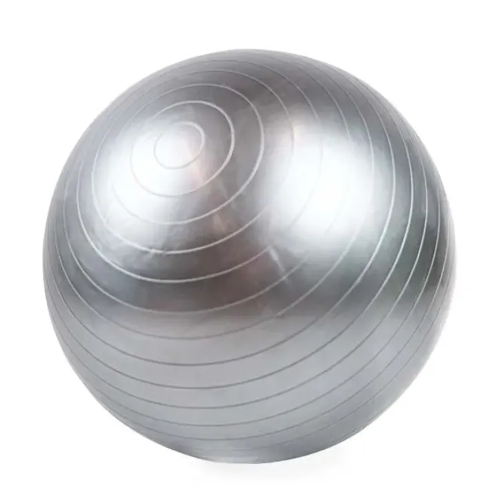 Ollipet DogFit Air | Balance Ball
