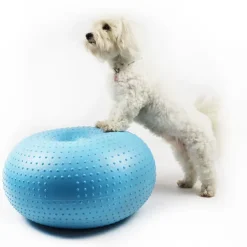 Ollipet DogFit Air - Balance Donut