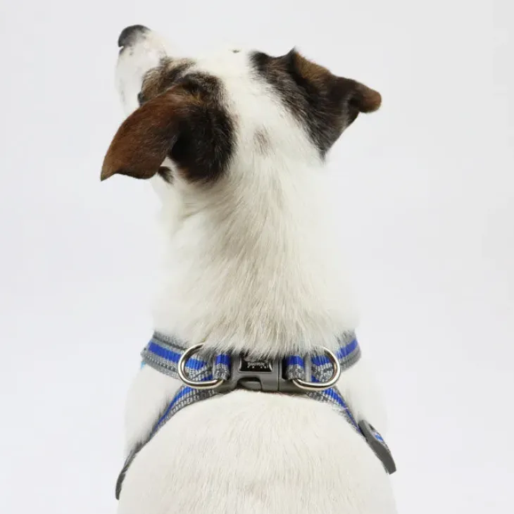 Ollipet Duomm Air mesh Step-In sele | OUTLET