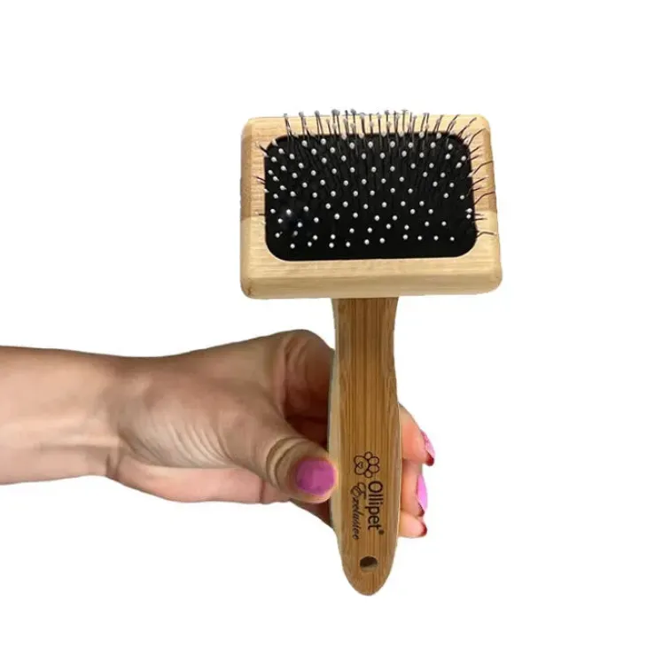 Ollipet Exclusive Bambus Karte