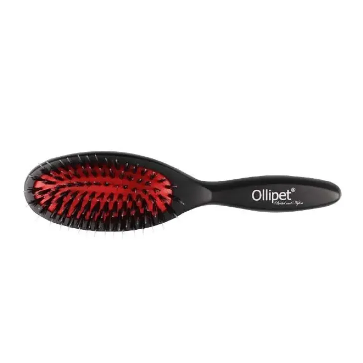 Ollipet Exclusive Bristle & Nylon Brush