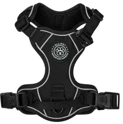 Ollipet For Wagging Tails | Adventure Hundesele 2.0