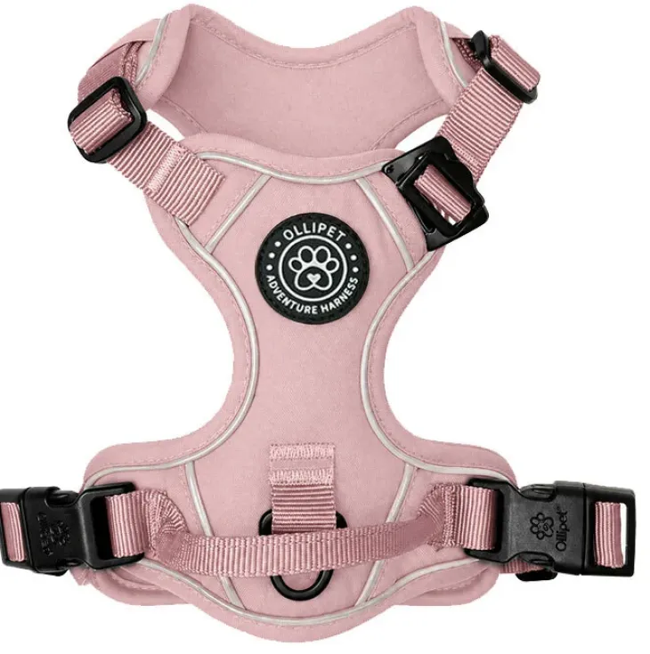 Ollipet For Wagging Tails | Adventure Hundesele 2.0