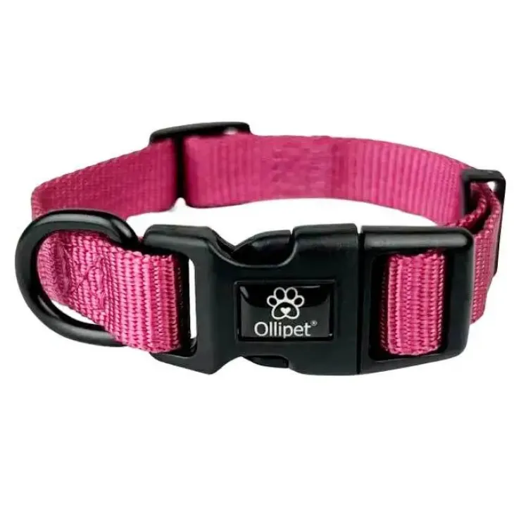 Ollipet For Wagging Tails | Halsbånd