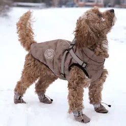 Ollipet For Wagging Tails | Refleks hundestøvler