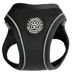 Ollipet For Wagging Tails | Step in Sele