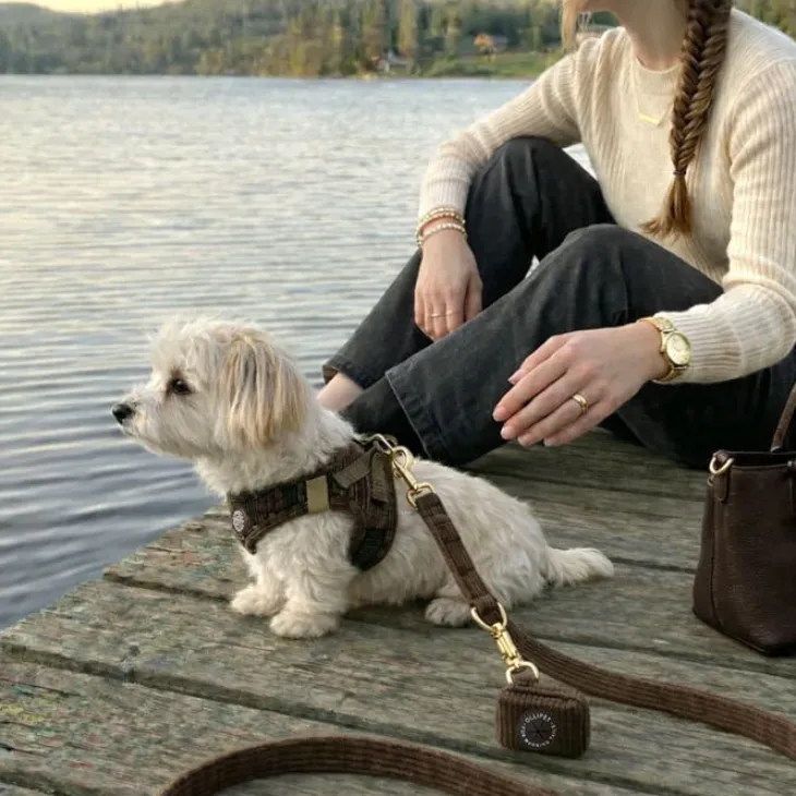 Ollipet For Wagging Tails | Velluto step-in sele