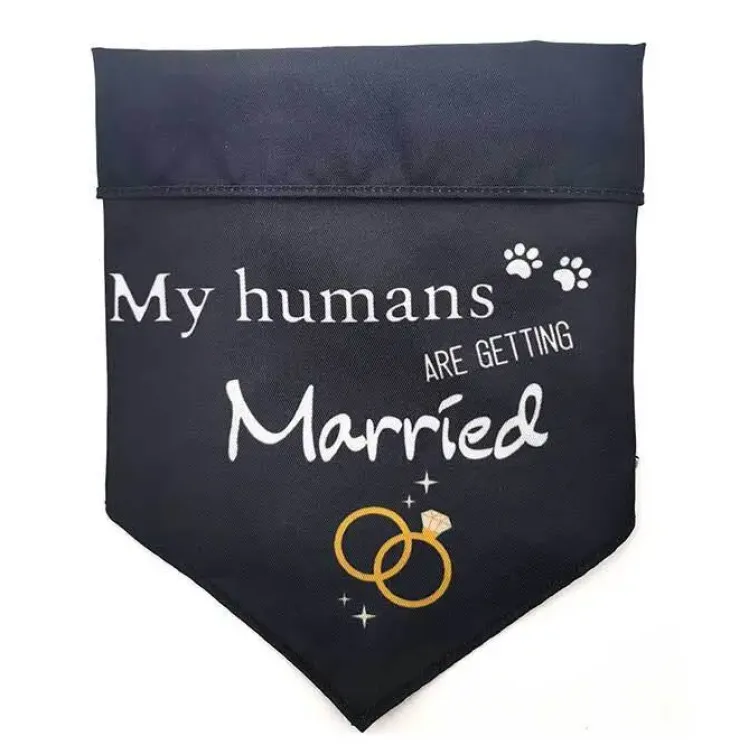 Ollipet "Getting married" Bandana | OUTLET