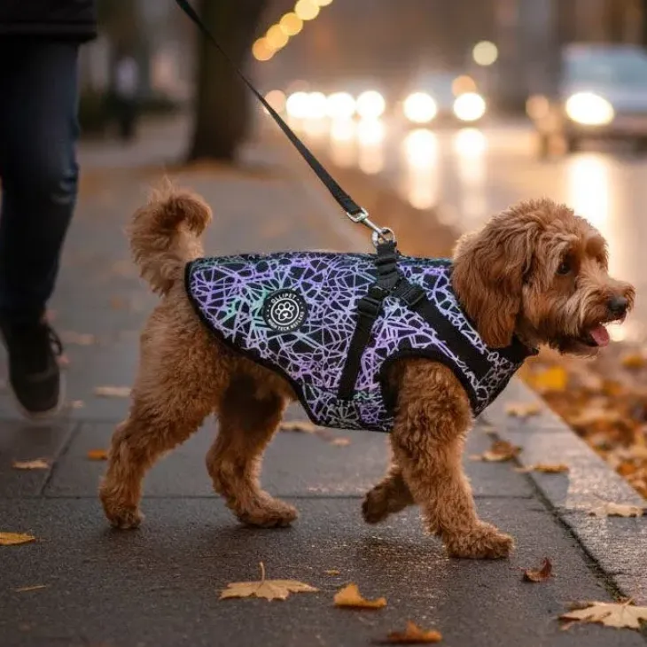 Ollipet High Tech Refleks Hundejakke | m. Sele