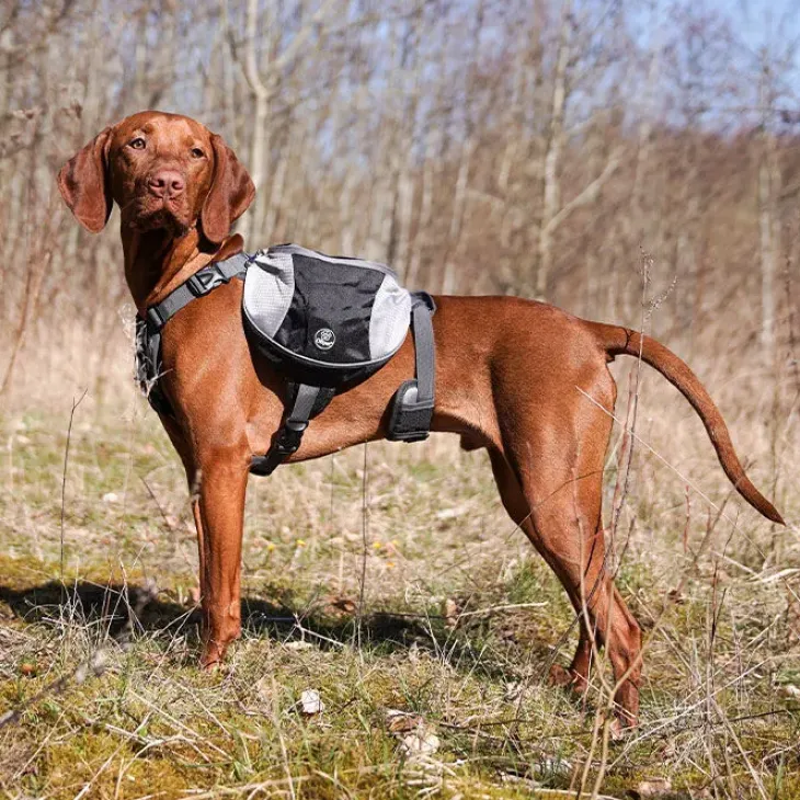 Ollipet Hiking Gear Backpack