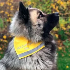 Ollipet Hold afstand tak | Bandana