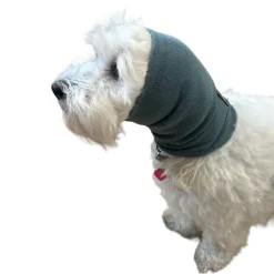 Ollipet Hoodie For Dog Ears