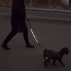 Ollipet hundesnor med LED-lys | Genopladelig | OUTLET
