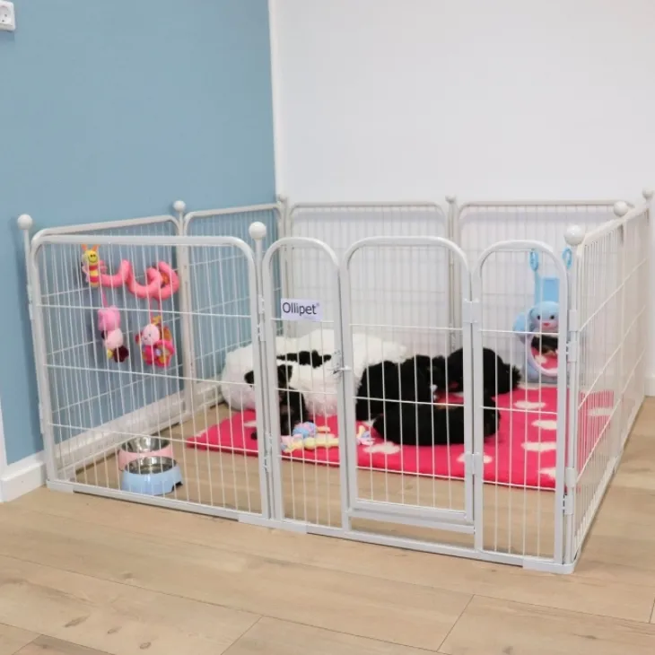 Ollipet hvalpegård m. stokke og gulvbeskytter | 100cm. Høj