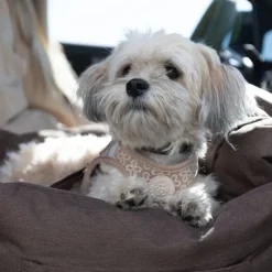 Ollipet Karma Deluxe Autokurv 2i1