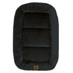Ollipet Kaya Wellness Madras