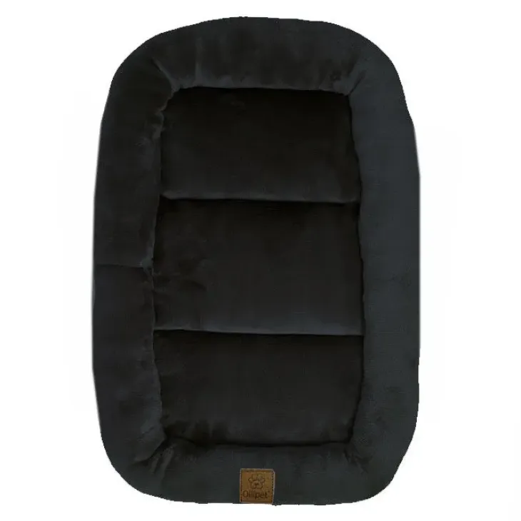 Ollipet Kaya Wellness Madras