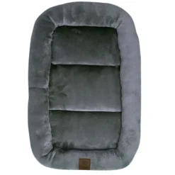 Ollipet Kaya Wellness Madras