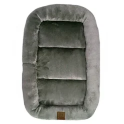 Ollipet Kaya Wellness Madras