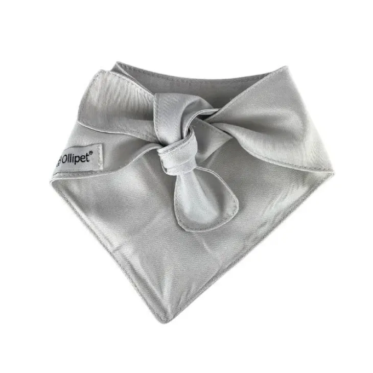 Ollipet "My parents are getting me a little baby" bandana