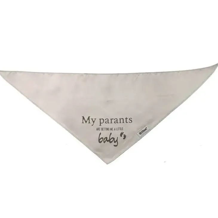Ollipet "My parents are getting me a little baby" bandana