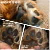 Ollipet Naturlig Potevoks | 60g