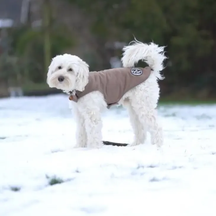 Ollipet Outdoor Fleecejakke