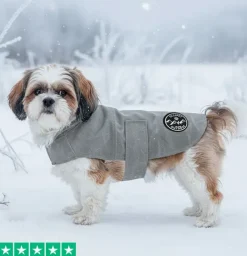 Ollipet Outdoor Windbreaker