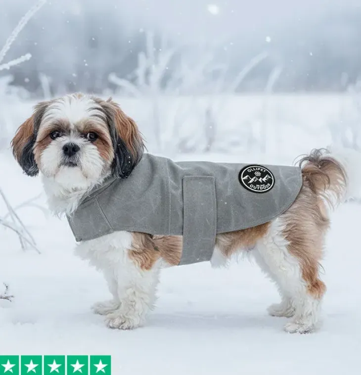 Ollipet Outdoor Windbreaker
