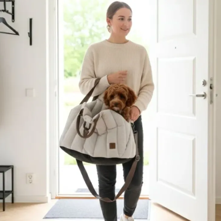 Ollipet Paris City Bag 3i1