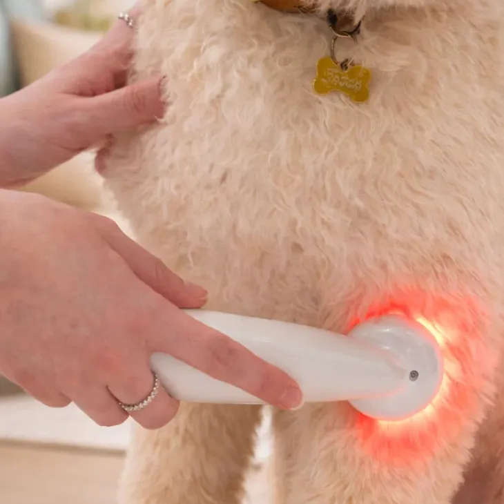 Ollipet Petcare Infrarød Terapilampe | til kæledyr