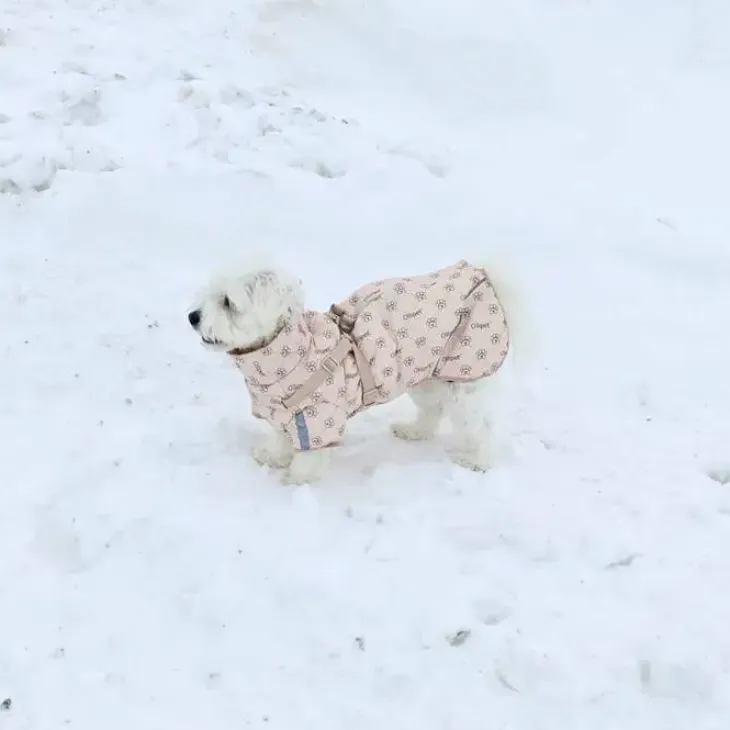Ollipet Polar Vinterjakke