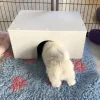Ollipet Puppy Home | OUTLET
