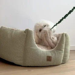 Ollipet Rabbit Tail Bungee | Belønningslegetøj