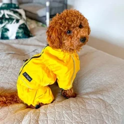 Ollipet regndragt til hunde | Color Collection | OUTLET