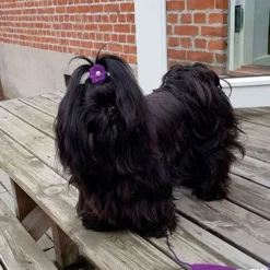 Ollipet Silkeblomst med perle