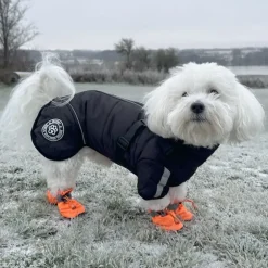 Ollipet Sirius DeLuxe Dynejakke